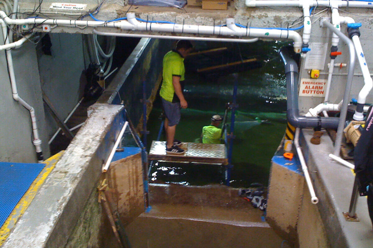 Repair Work At Underwater World Mooloolaba - Concrete Repair - Remedial Building Services