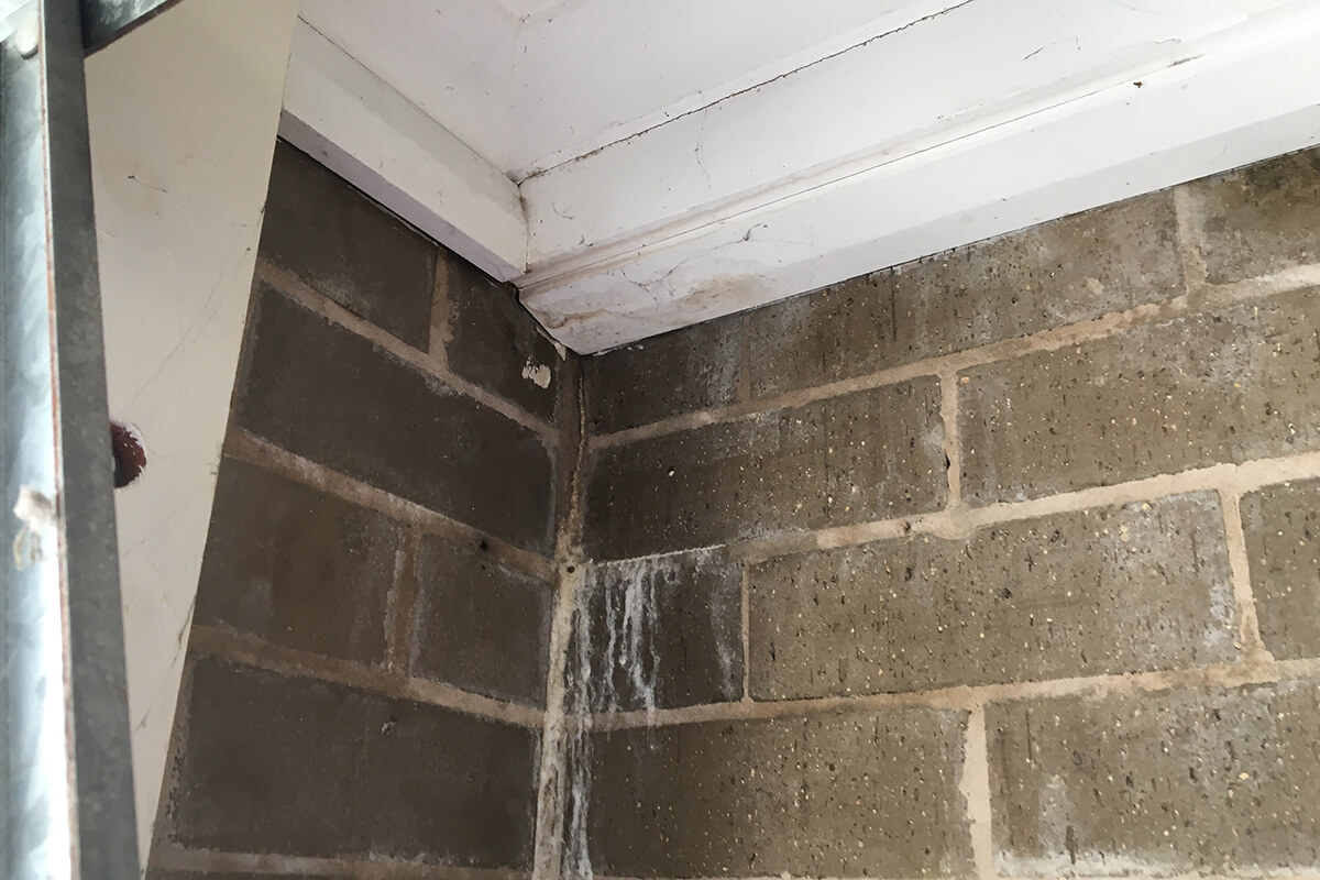 Rotting Timber And Water Stains On The Wall - Concrete Repair - Remedial Building Services