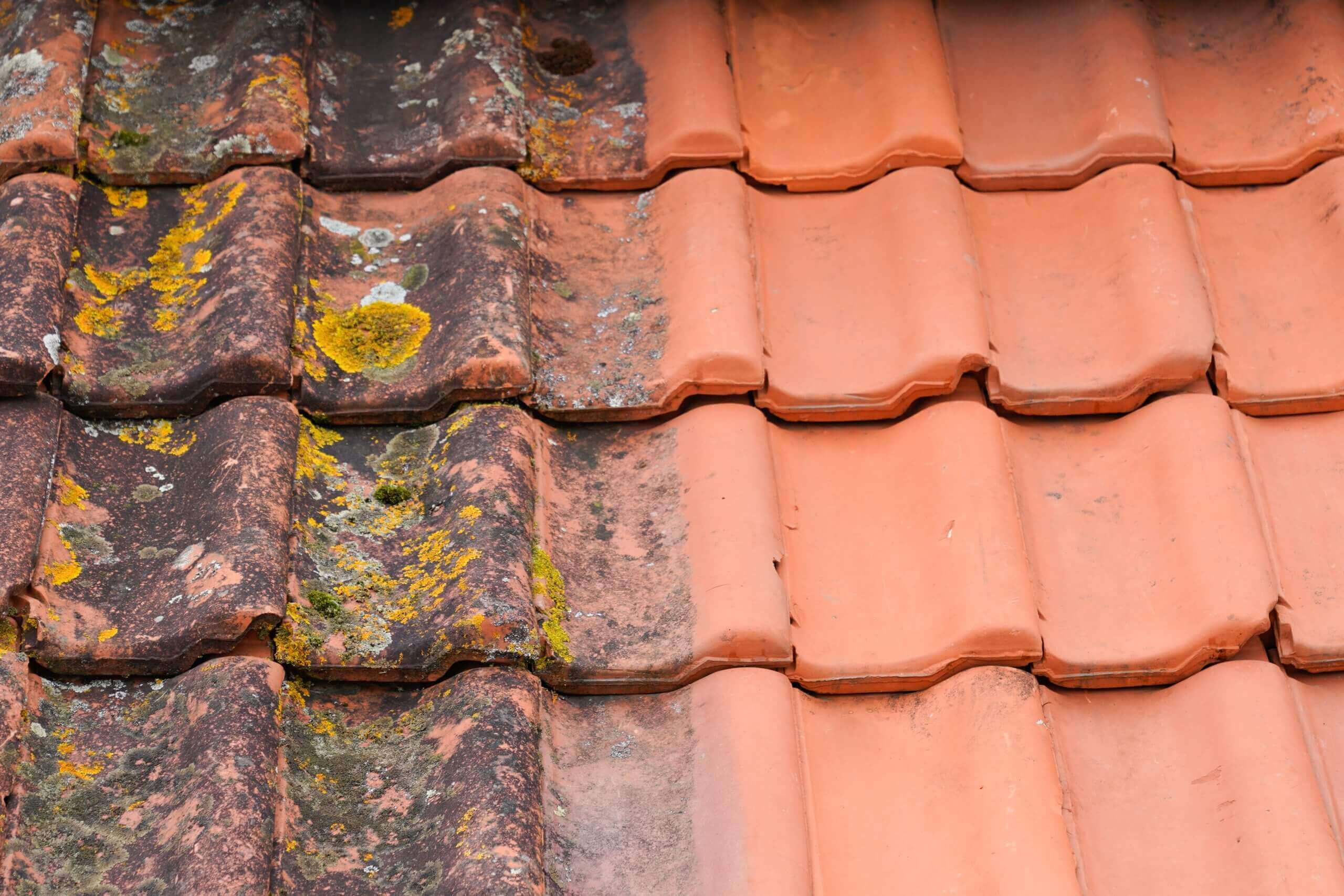 Tile Roffing Restoration - Flooring Solutions - Remedial Building Services